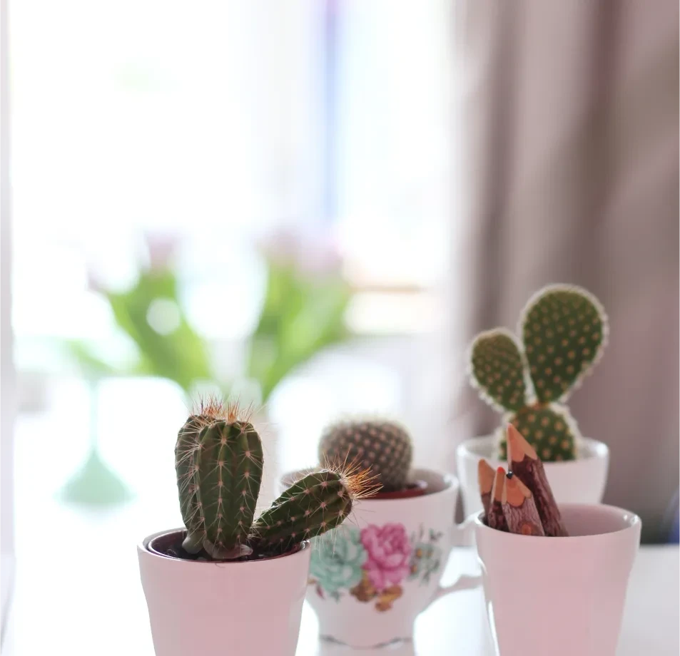 Indoor Objects Segmentation Dataset