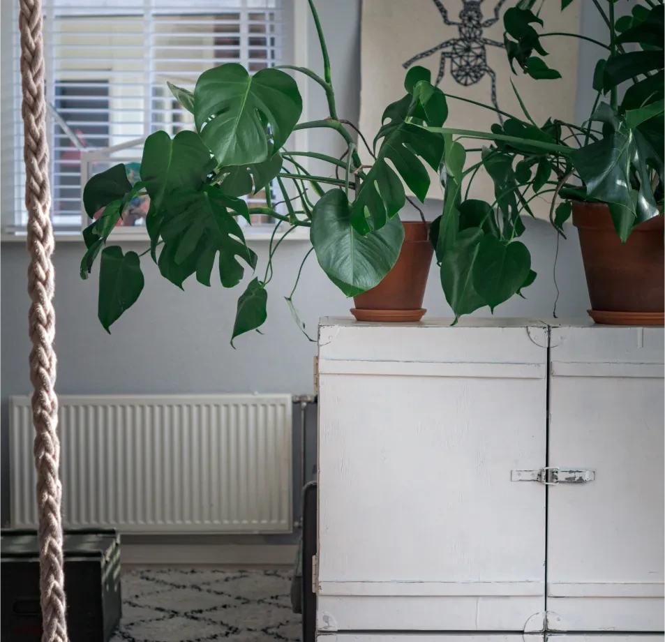 Indoor Objects Segmentation Dataset