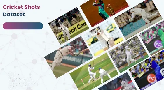 Cricket Shots Dataset