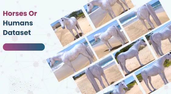 Horses Or Humans Dataset