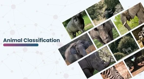 Animal Classification