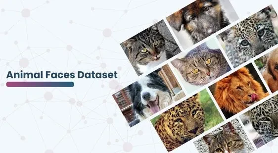 Animal Faces Dataset