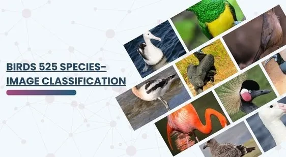 BIRDS 525 SPECIES- IMAGE CLASSIFICATION