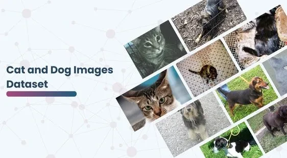 Cat and Dog Images Dataset