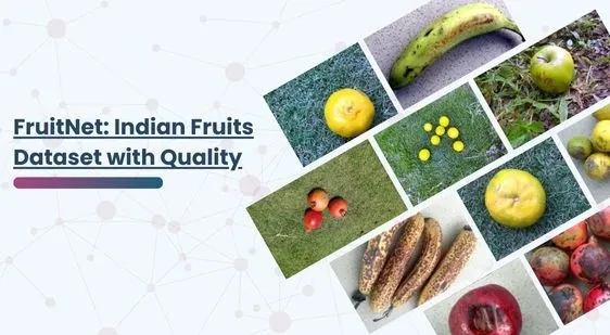 FruitNet: Indian Fruits Dataset with Quality