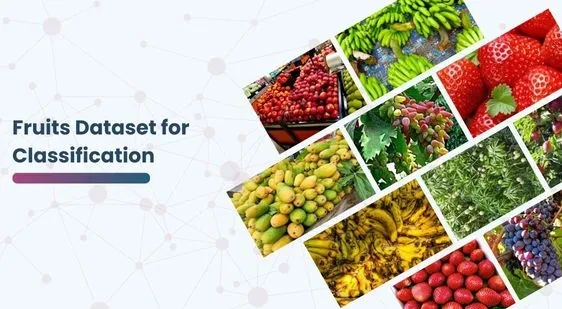Fruits Dataset for Classification