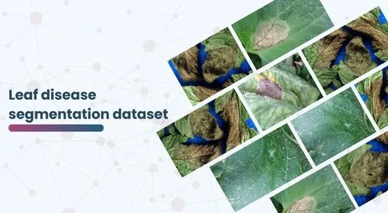 Leaf disease segmentation dataset
