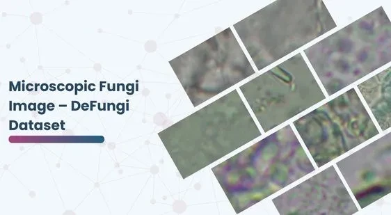 Microscopic Fungi Image – DeFungi Dataset