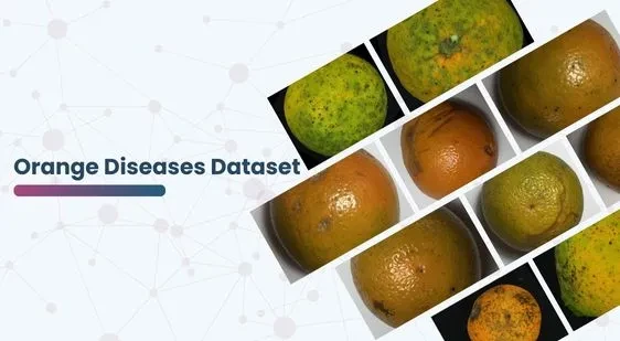 Orange Diseases Dataset