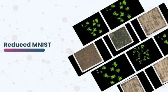 Plant Semantic Segmentation Dataset