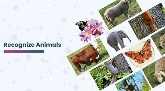 Recognize Animals