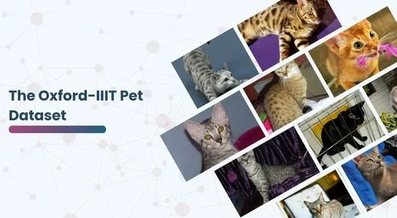 The Oxford-IIIT Pet Dataset