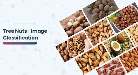 Tree Nuts -Image Classification