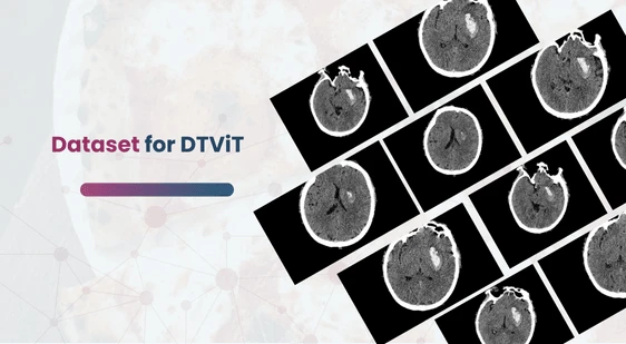 Dataset for DTViT