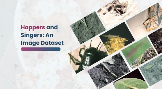 Hoppers and Singers: An Image Dataset