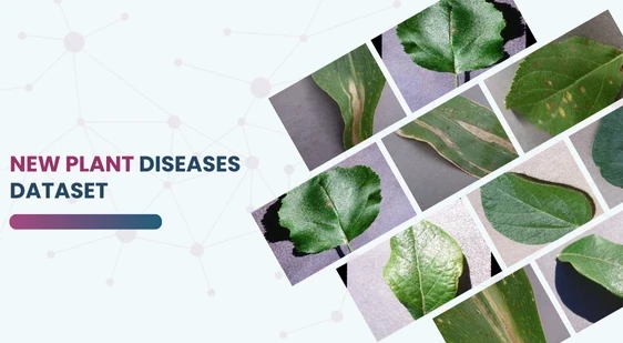 New Plant Diseases Dataset