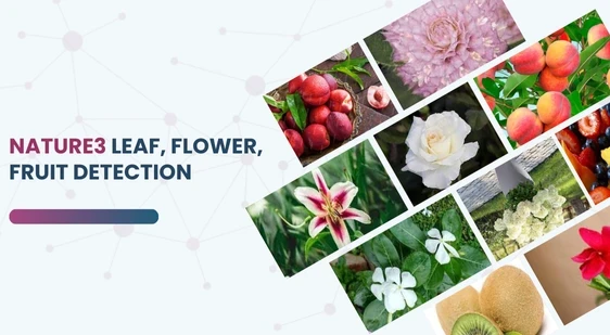 Nature3: Leaf, Flower, and Fruit Detection